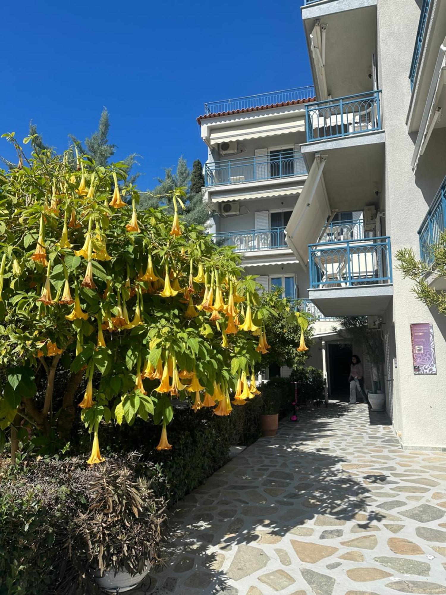 Drossinos Studios Poros Town Exterior photo